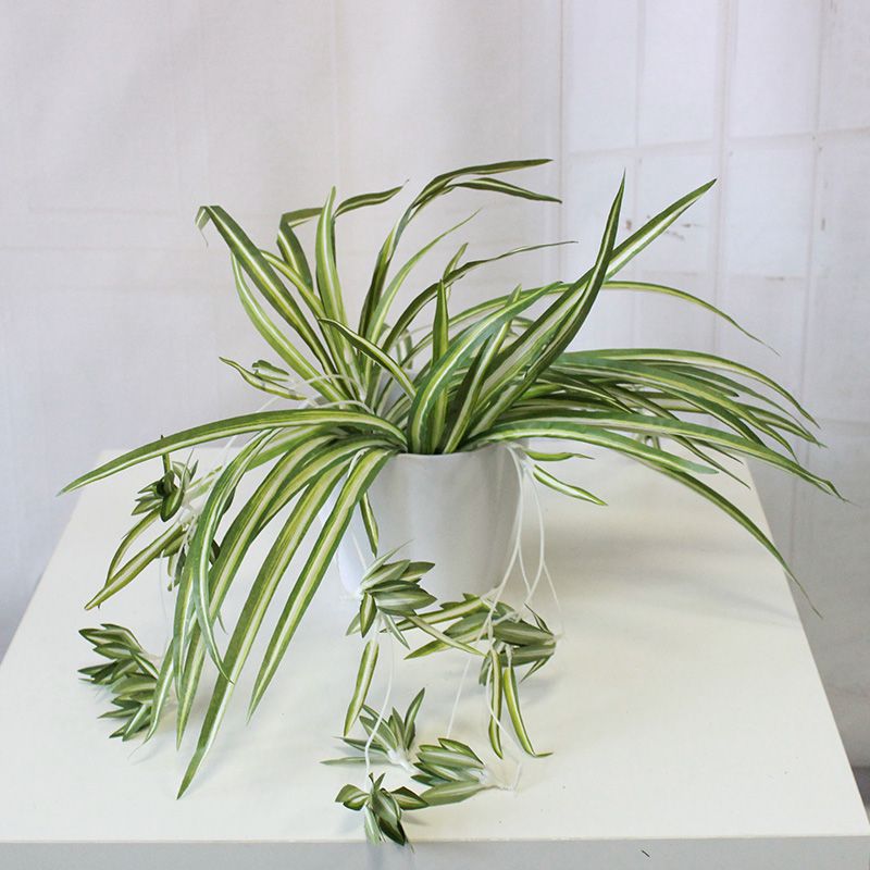 大蕨葉藝術(shù) 仿真盆栽如何重塑都市綠色生活美學(xué)